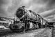 Old Abandoned Locomotive Train Wall Decal