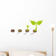 Plant germination Wall Decal