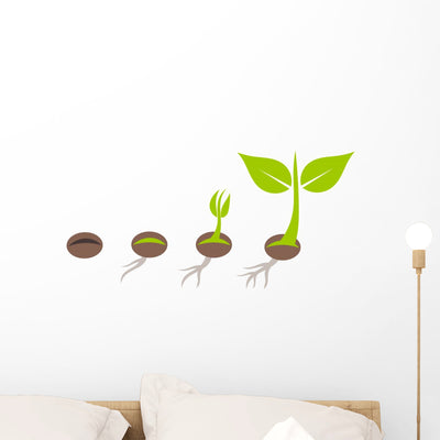 Plant Germination Wall Decal shown on a wall