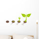 Plant germination Wall Decal