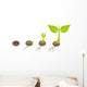 Plant germination Wall Decal