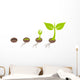Plant germination Wall Decal
