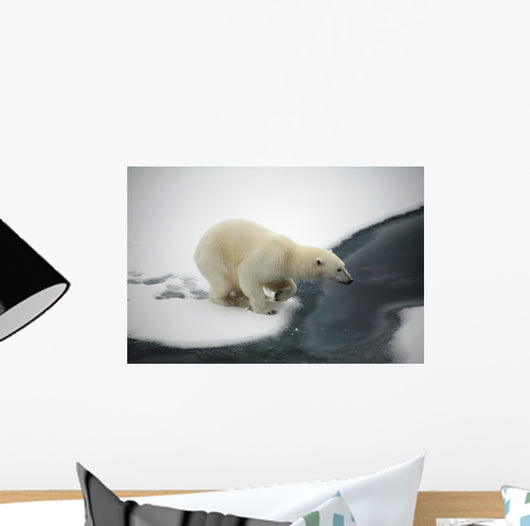 Polar bear Wall Mural
