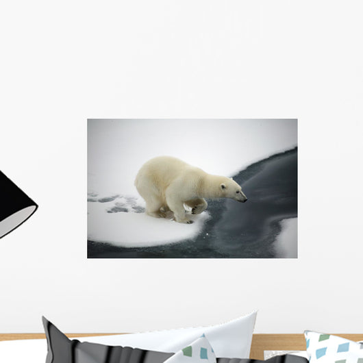 Polar bear Wall Mural