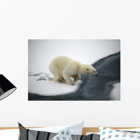Polar bear Wall Mural