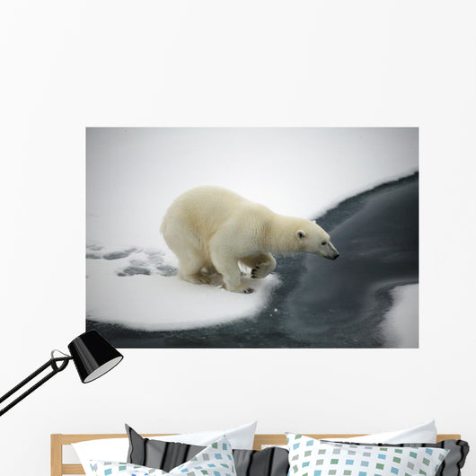 Polar bear Wall Mural