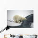 Polar bear Wall Mural