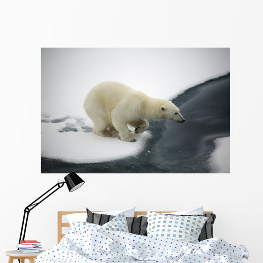 Polar bear Wall Mural
