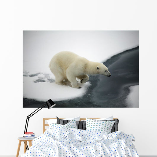 Polar bear Wall Mural