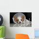 Sick dog with collar Wall Mural