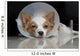 Sick dog with collar Wall Mural
