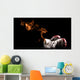 Boxing on Fire Wall Mural