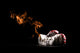 Boxing On Fire Wall Decal