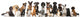 Too Many Pets Wall Decal