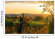 Tuscany vineyards in fall Wall Mural