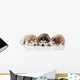 Three Siberian Husky Puppies Wall Decal