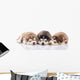 Three Siberian Husky Puppies Wall Decal