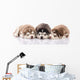 Three Siberian Husky Puppies Wall Decal
