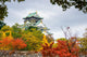 Osaka Castle In Autumn Wall Decal