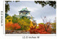 Osaka Castle in Autumn Wall Mural