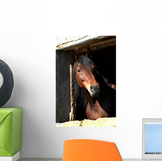 Horse Wall Mural