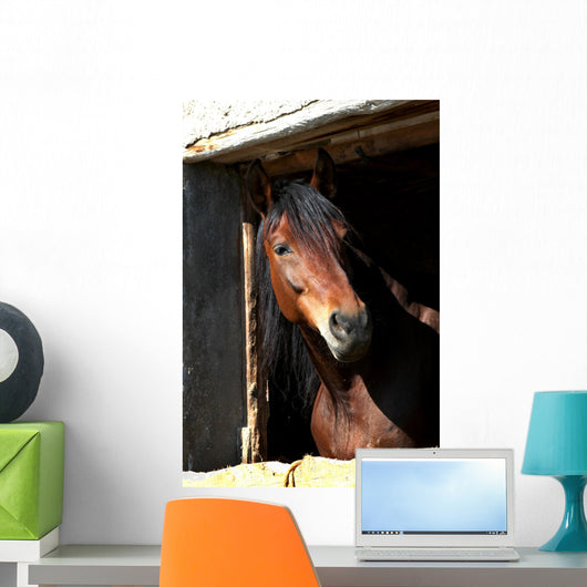 Horse Wall Mural