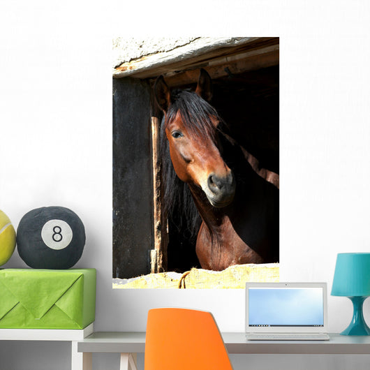Horse Wall Mural