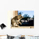 Tabby cat grooming itself. Selective focus. Wall Mural