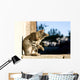 Tabby cat grooming itself. Selective focus. Wall Mural