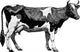Vintage Farm Cow Wall Decal