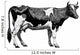 Vintage farm cow Wall Decal