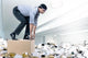 Swimmer Businessman Wall Decal