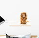 Uber Cute Dachshund Wall Mural
