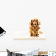 Uber Cute Dachshund Wall Mural