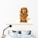 Uber Cute Dachshund Wall Mural