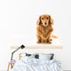 Uber Cute Dachshund Wall Mural