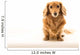 Uber Cute Dachshund Wall Mural