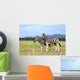 Burchell's zebras Wall Mural