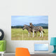 Burchell's zebras Wall Mural