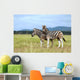 Burchell's zebras Wall Mural