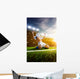 Soccer player in action Wall Mural