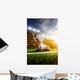 Soccer player in action Wall Mural