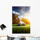 Soccer player in action Wall Mural