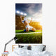 Soccer player in action Wall Mural