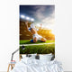 Soccer player in action Wall Mural