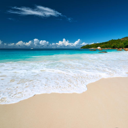 Beautiful Beach Seychelles Wall Decal