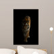 bengal tiger in the dark Wall Mural