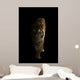 bengal tiger in the dark Wall Mural