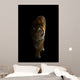bengal tiger in the dark Wall Mural