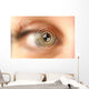 Virtual tech screen infographic blurred design Wall Mural